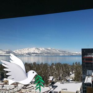 Meet your Posher, Victoria